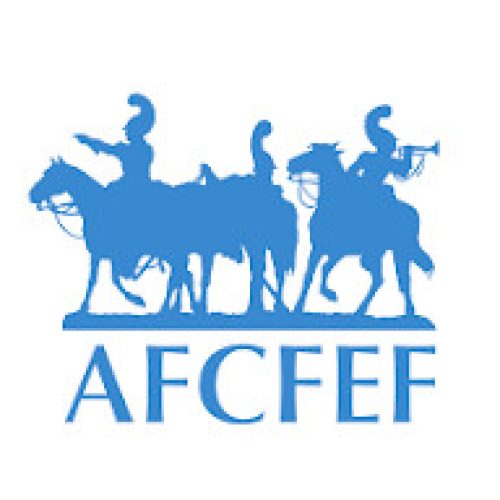 Logo Afcfef